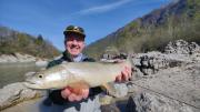 Neil and dry fly marble trout